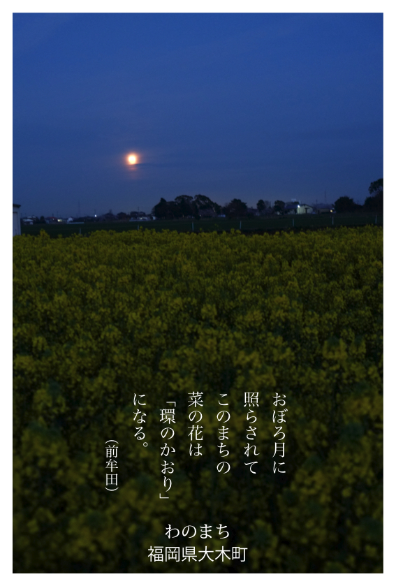 春の表情2