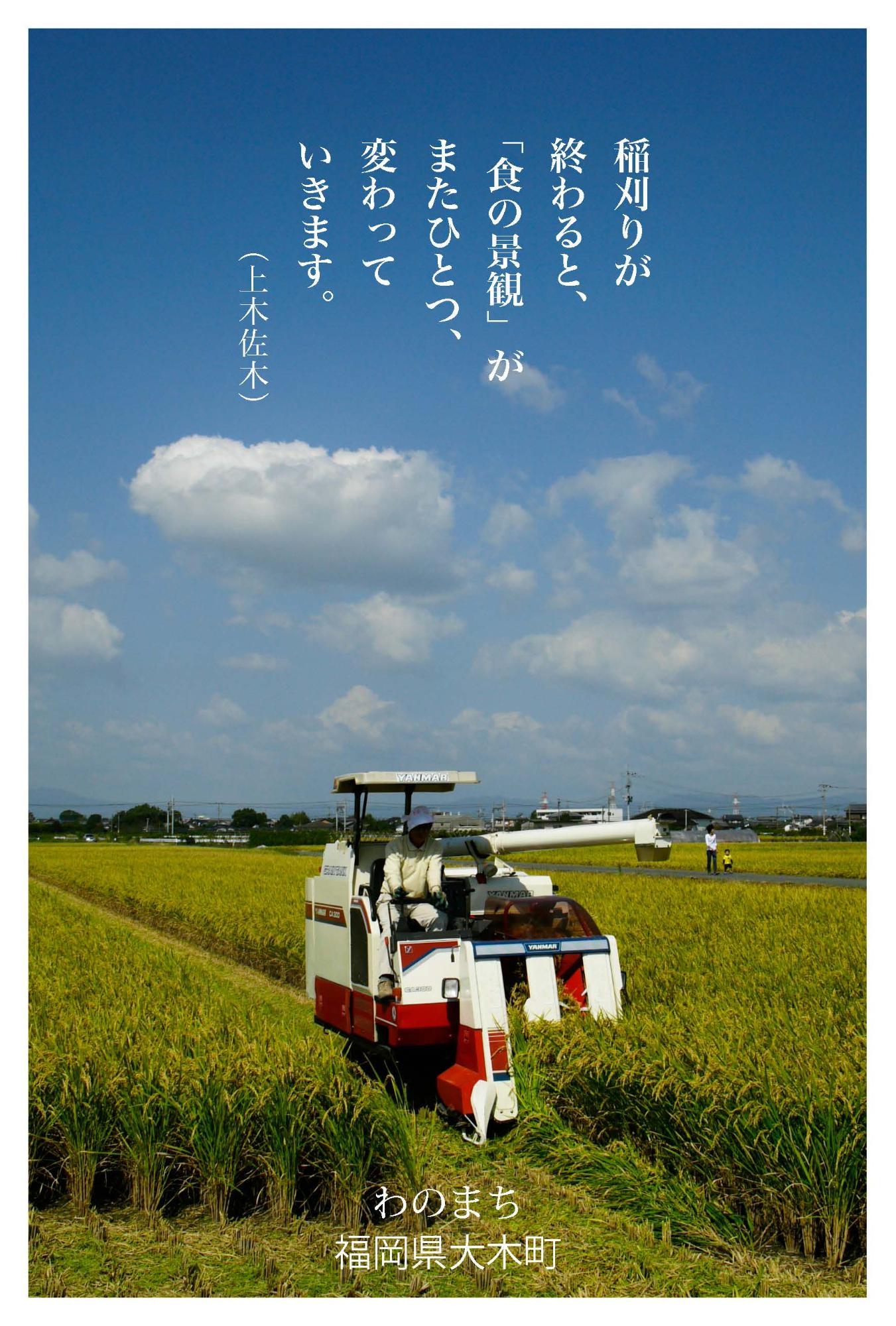 秋の表情1