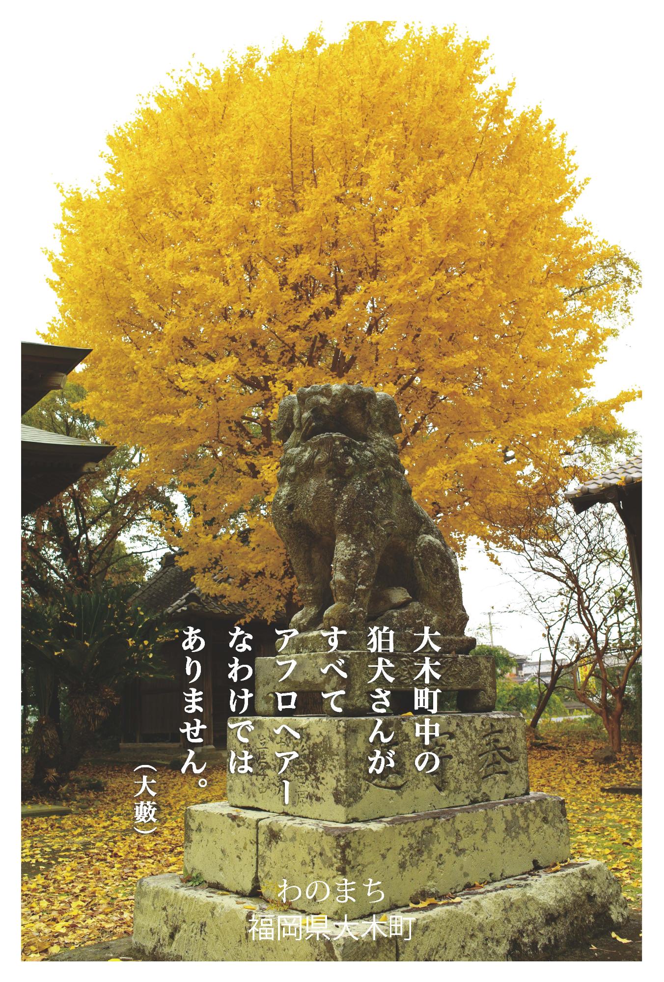秋の表情2