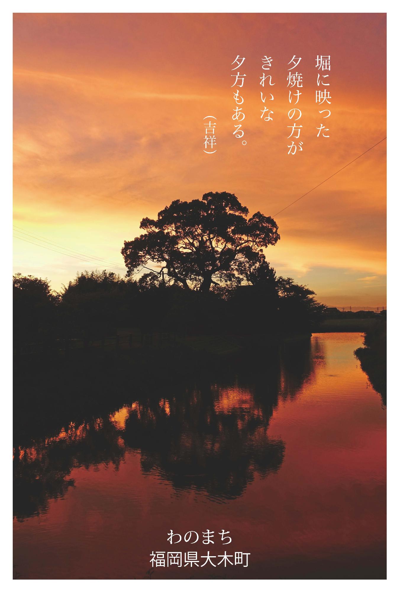 秋の表情4