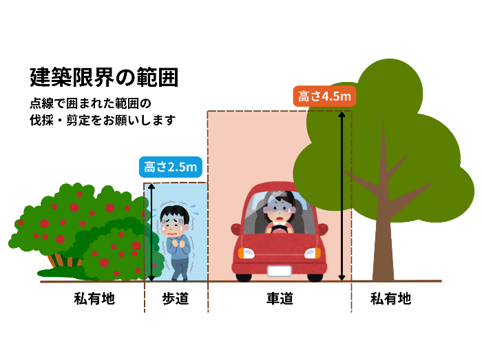 建築限界の範囲