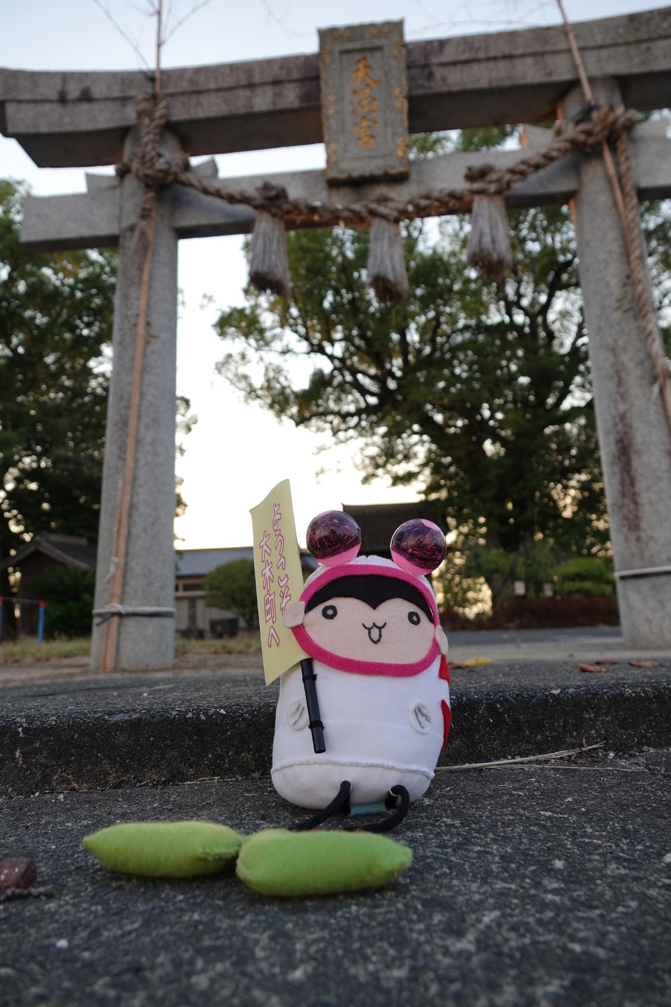 さるこいちゃん